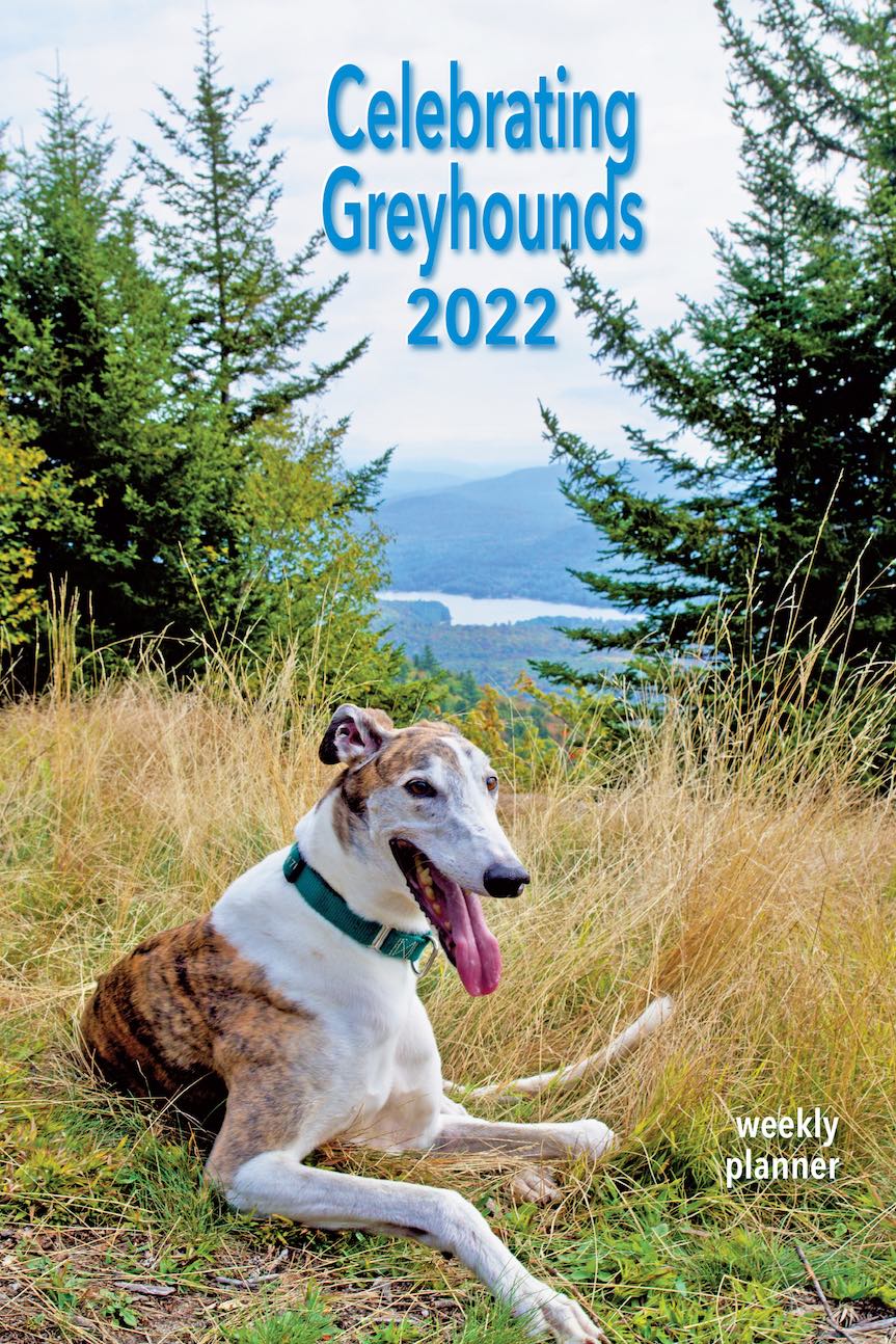 Celebrating Greyhounds 2022 Weekly Planner