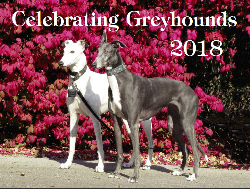 2018 Celebrating Greyhounds wall calendar